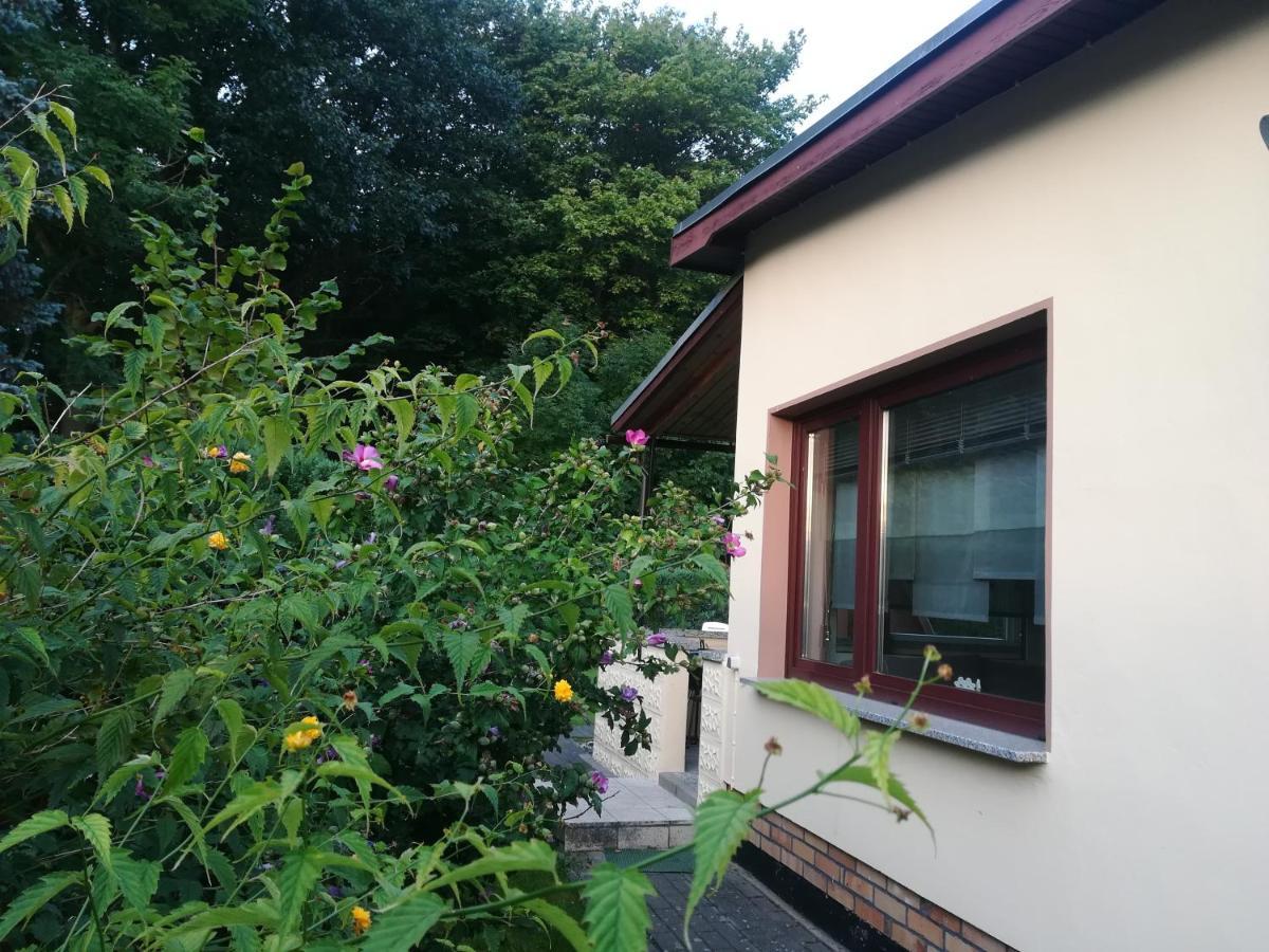 Ferienhaus Am Wald Loissin ภายนอก รูปภาพ